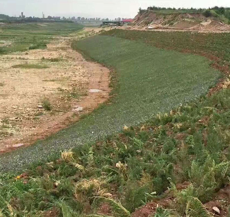 金年会体育水润三秦 兴业惠民——陕西持续推进水土流失治理与生态文明建设(图1)